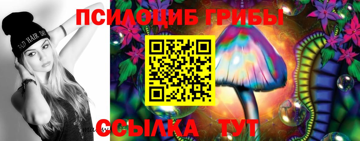 Галлюциногенные грибы Magic Shrooms  Вход с VPN  Северобайкальск 