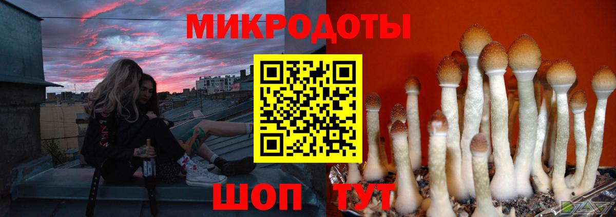 Галлюциногенные грибы прущие грибы Северобайкальск